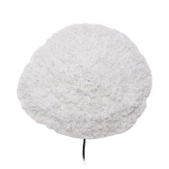 Globen Lighting Applique Murale Nemo Blanc