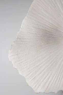 Globen Lighting Plafonnier/Applique Murale Tropez Ø60 Cm -Lampes boutique 502513 01 4 ProductImageDetail e03d17de85